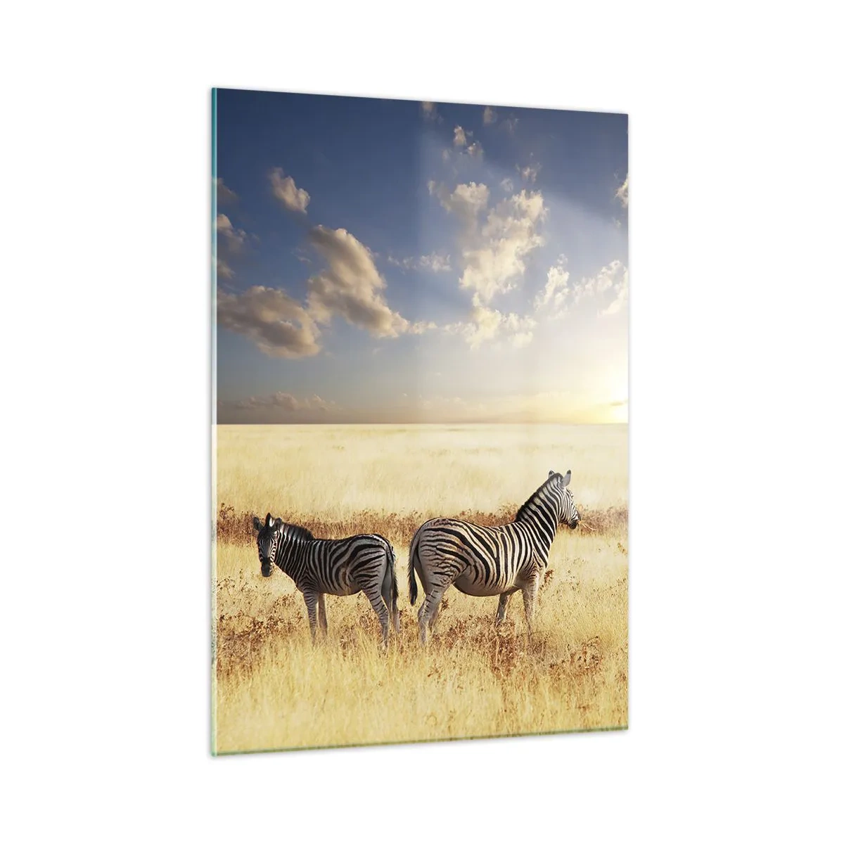 Glasbild - Bild auf glas - Zwei Zebras in der Savanne bei Sonnenuntergang - 50x70cm - Geh weg, sei nicht in Frieden - Moderne Wanddekoration für Wohnzimmer und Schlafzimmer ARTTOR