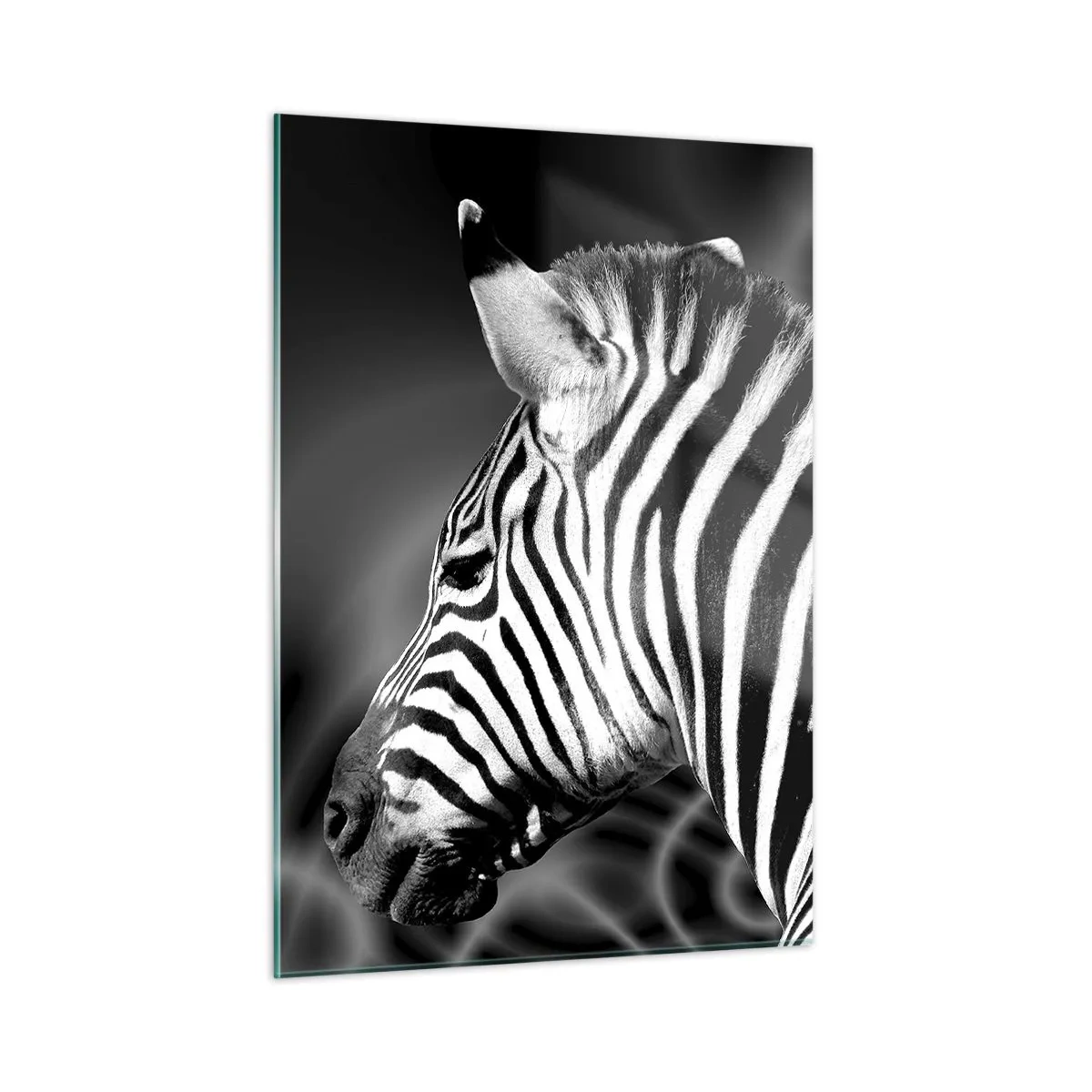 Glasbild - Bild auf glas - Zebra in Schwarz-Weiß-Ästhetik - 50x70cm - Weiß ist weiß und schwarz ist schwarz - Moderne Wanddekoration für Wohnzimmer und Schlafzimmer ARTTOR