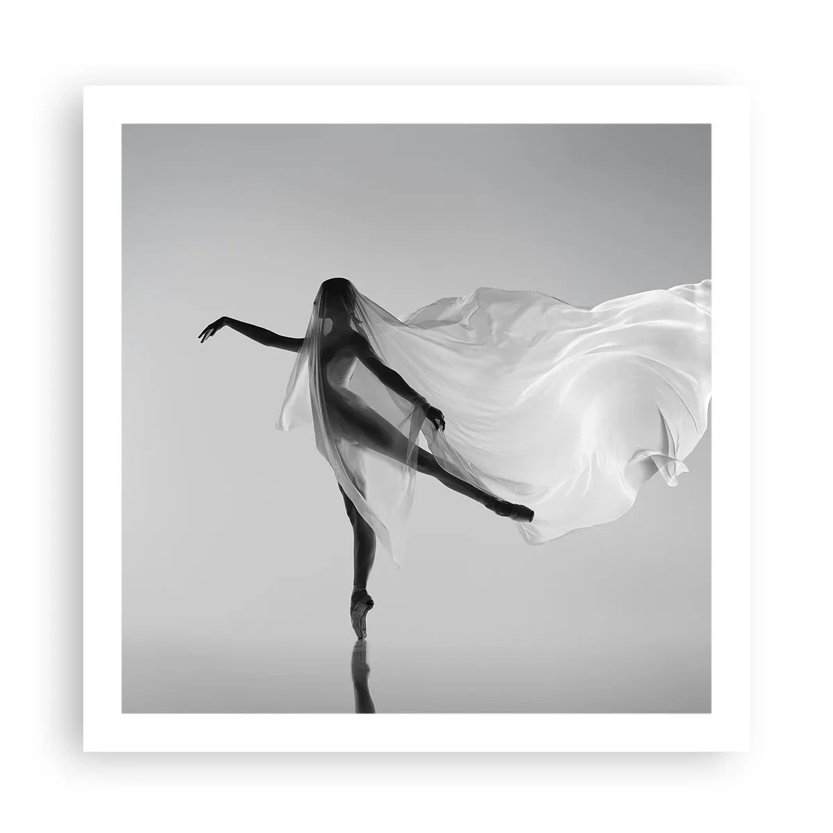 Poster - Leichtigkeit und Anmut - 60x60 cm