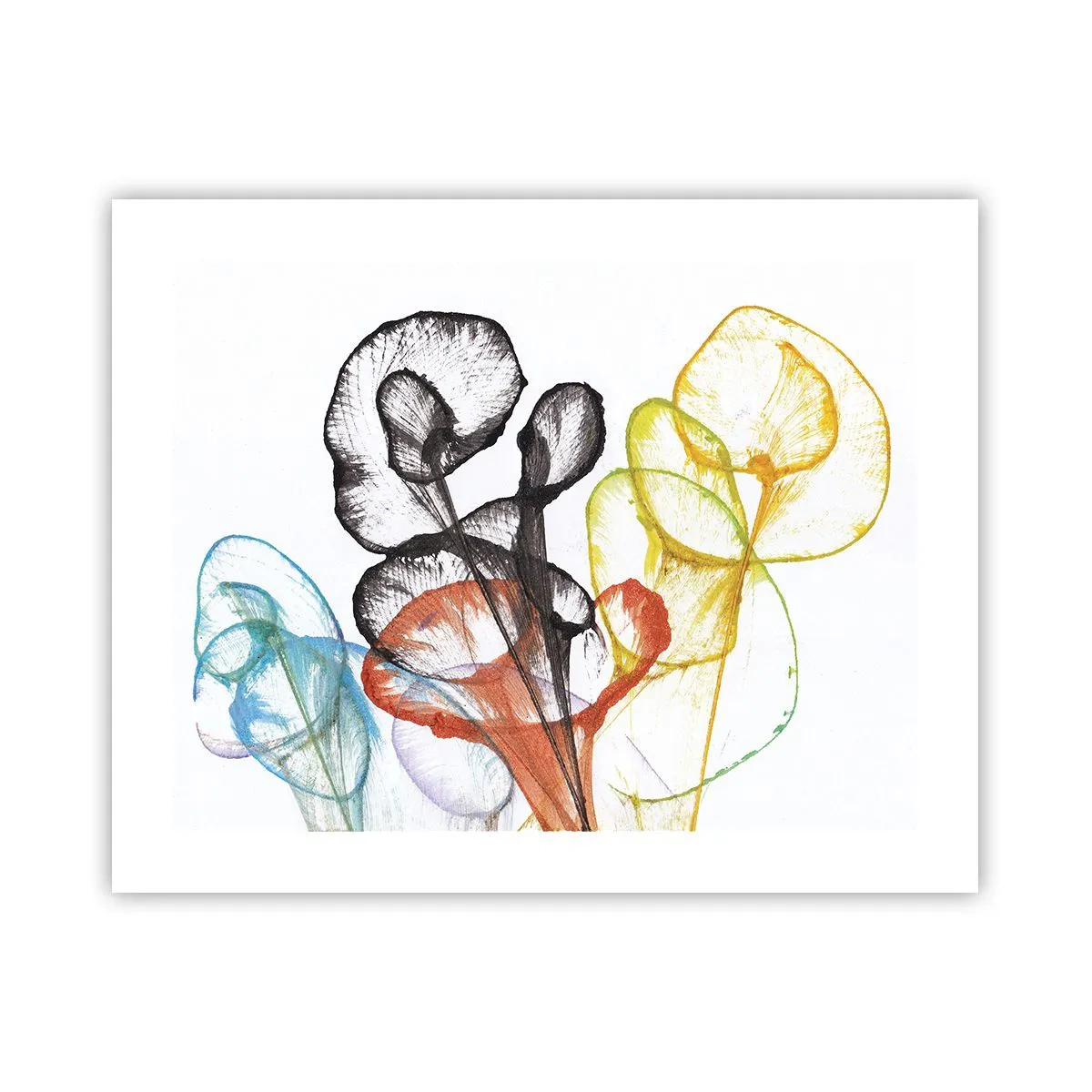 Poster - Blumen mit Seele - 50x40 cm