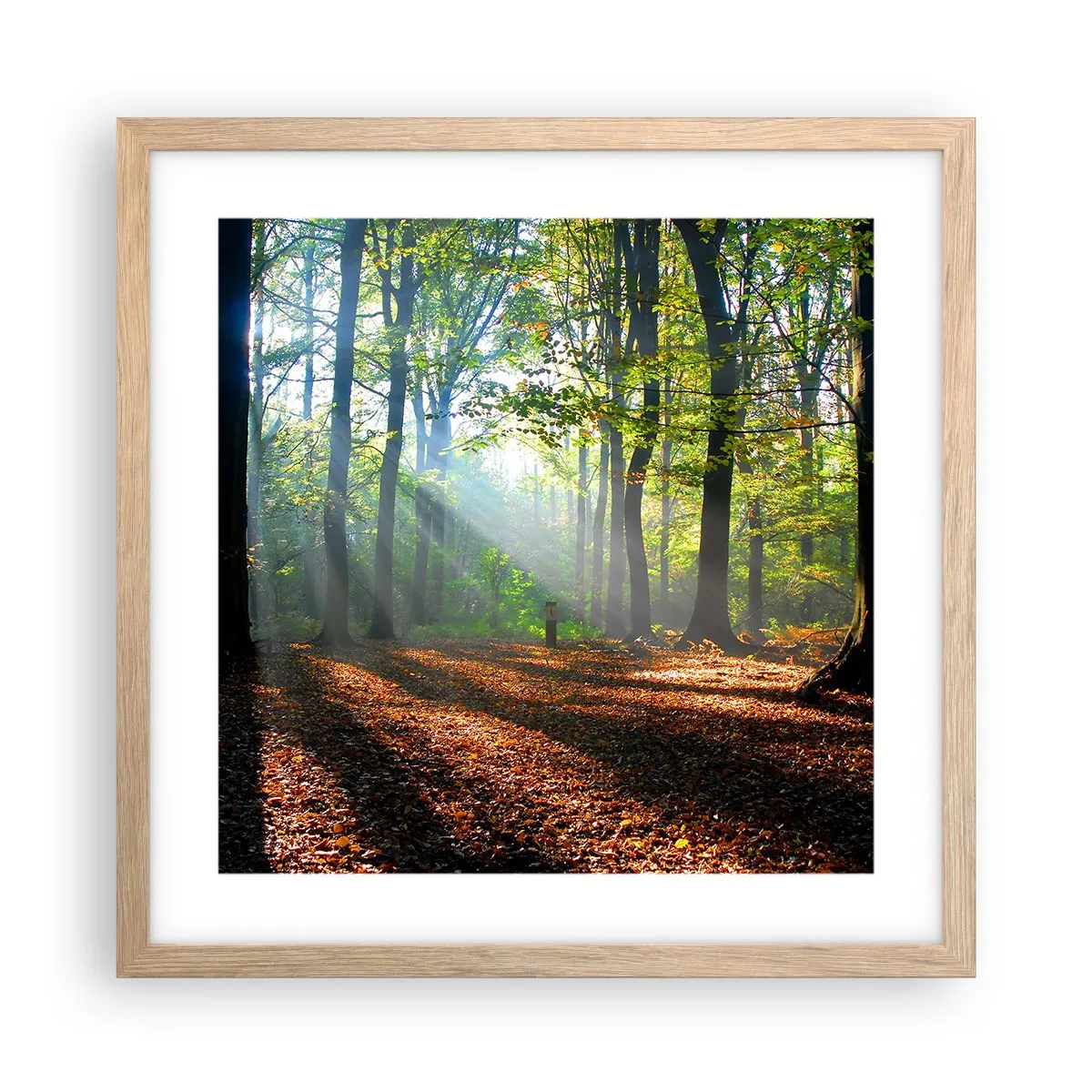 Poster in einem Rahmen aus heller Eiche - Licht und Schatten - 40x40 cm