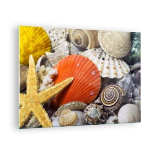 Glasbild - Bild auf glas - Bunte Muscheln und Seesterne in einer Meereskomposition - 70x50cm - Schätze des Ozeans - Moderne Wanddekoration für Wohnzimmer und Schlafzimmer ARTTOR