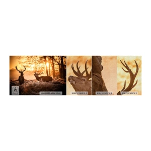 Fototapeten Muster Premium Canvas - Der Traum eines Jägers - Landschaft, Reh, Jagd - 100x30 cm