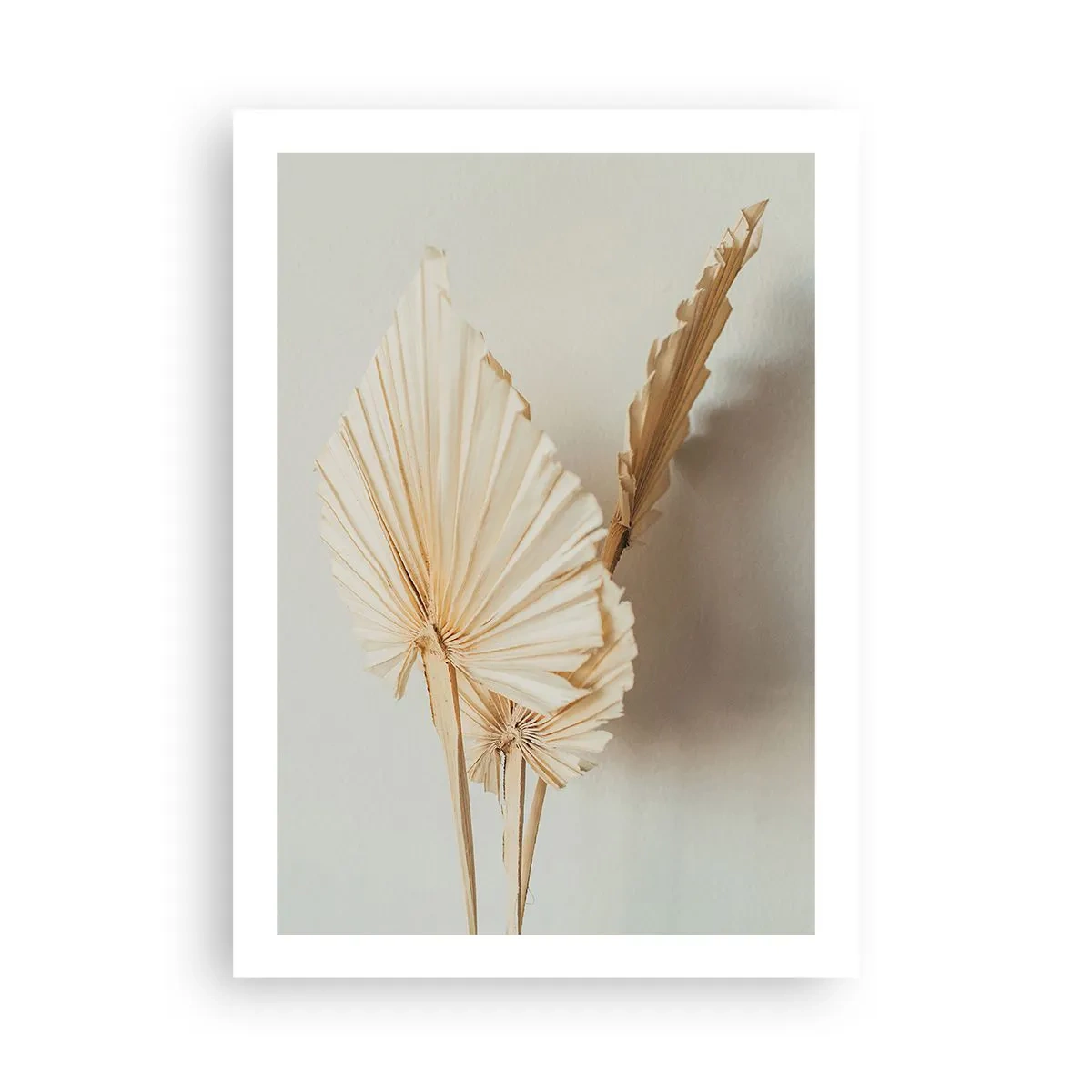 Poster - Getrocknete Palmblätter in minimalistischem Arrangement auf hellem Untergrund - 50x70cm - Wenn Sie Erleichterung brauchen - Moderne Wanddekoration für Wohnzimmer und Schlafzimmer ARTTOR