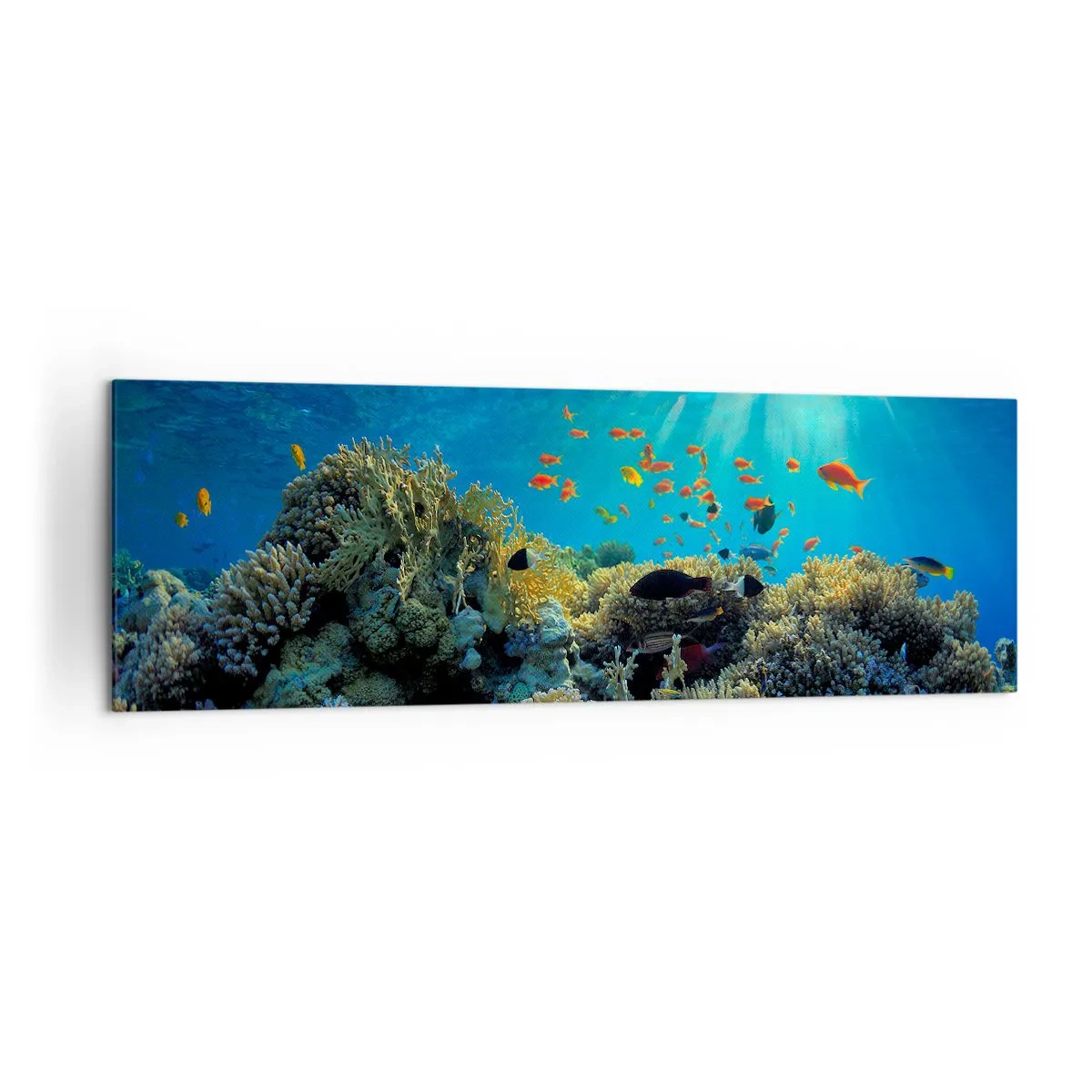 Bild auf Leinwand - Leinwandbild - Korallenriff mit Fischen in den Sonnenstrahlen unter Wasser - 160x50cm - Unterwasserschätze - Moderne Wanddekoration für Wohnzimmer und Schlafzimmer ARTTOR