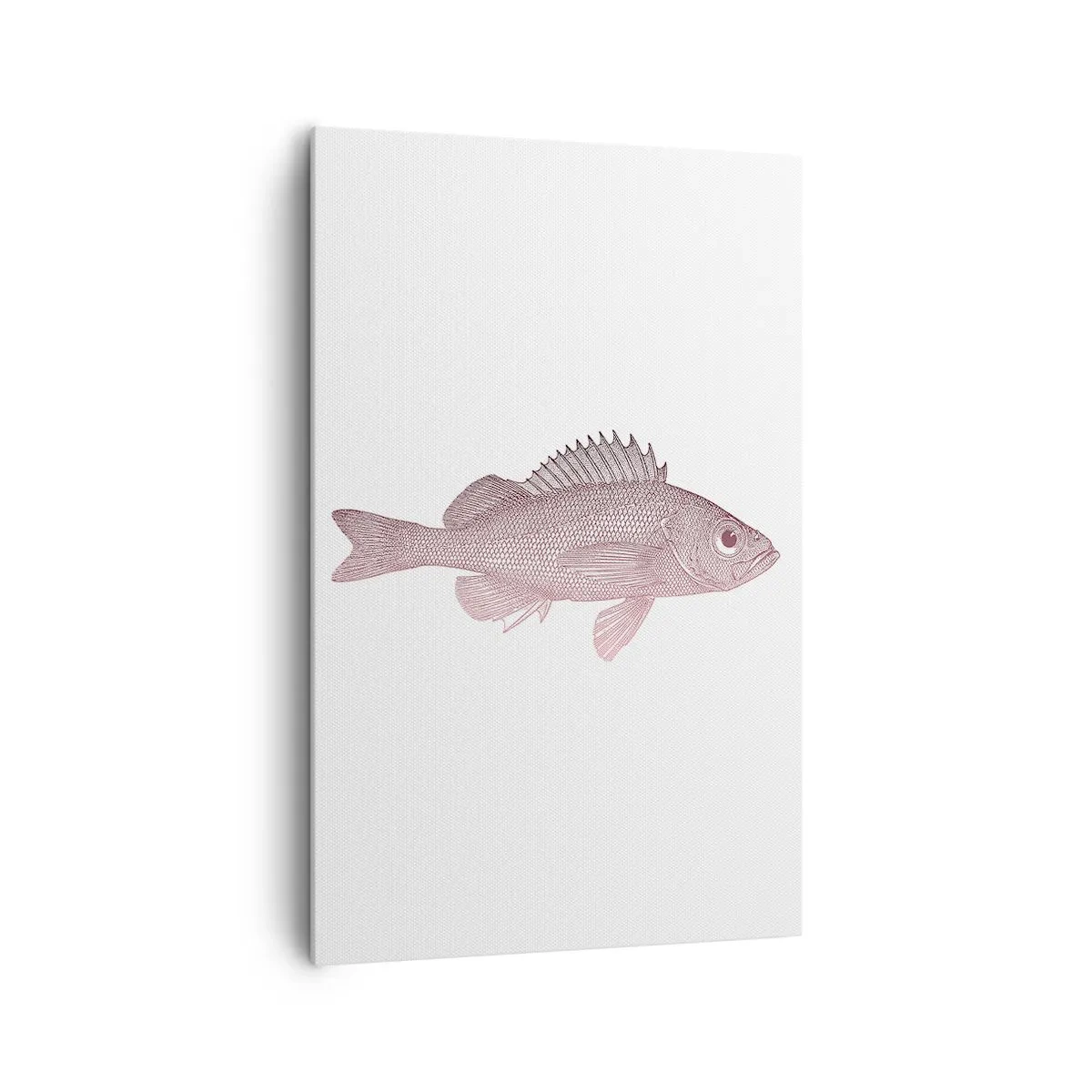 Bild auf Leinwand - Leinwandbild - Detaillierte Darstellung eines Fisches auf weißem Hintergrund - 80x120cm - Großäugiger Fisch - Moderne Wanddekoration für Wohnzimmer und Schlafzimmer ARTTOR