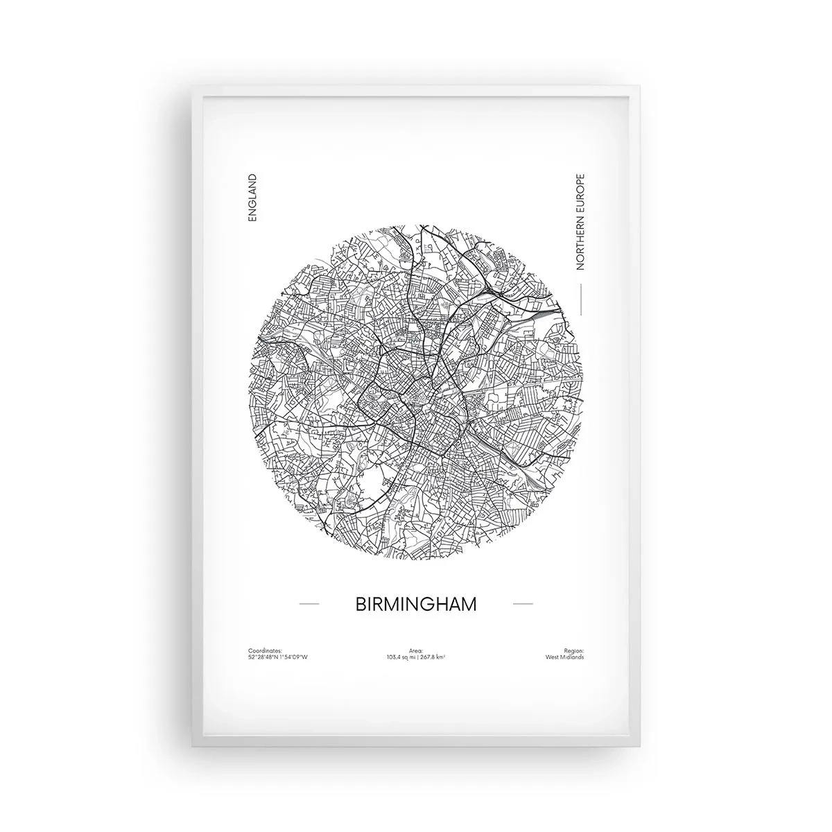 Poster in einem weißen Rahmen - Anatomie von Birmingham - 61x91 cm