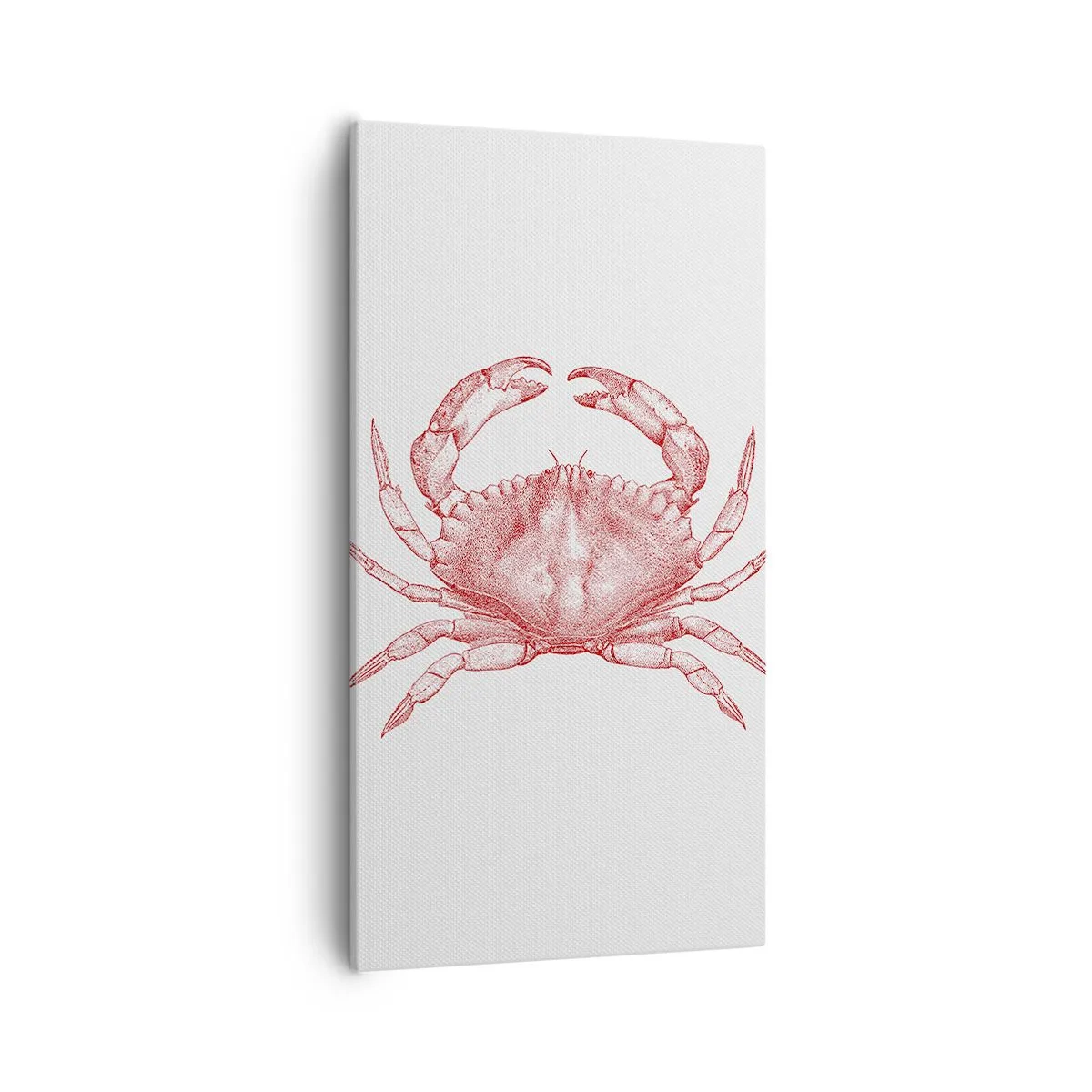 Bild auf Leinwand - Leinwandbild - Krabbe aller Krabben - 55x100 cm