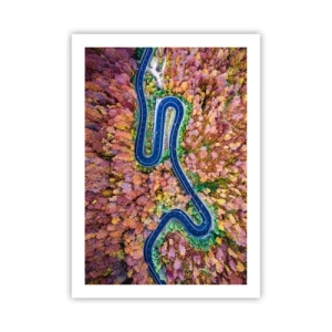 Poster - Eine kurvenreiche Straße in einem herbstlichen Wald aus der Vogelperspektive gesehen - 50x70cm - Kurvenreicher Weg durch den Wald - Moderne Wanddekoration für Wohnzimmer und Schlafzimmer ARTTOR
