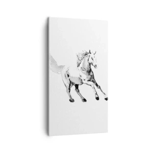 Bild auf Leinwand - Leinwandbild - Ungezähmte Seele - 45x80 cm