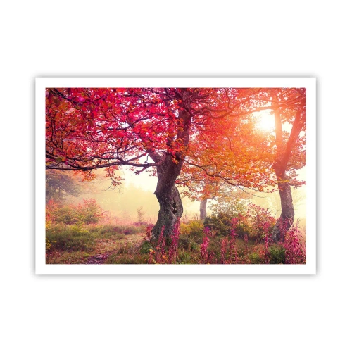 Poster - Herbstlandschaft mit Bäumen in intensiven Farben - 100x70cm - Blühende Raserei - Moderne Wanddekoration für Wohnzimmer und Schlafzimmer ARTTOR