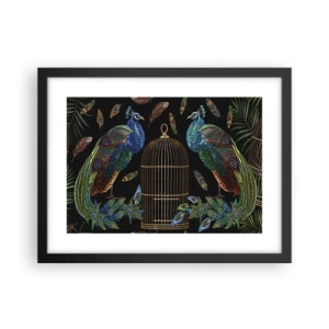 Poster in einem schwarzem Rahmen - In königlichen Gewändern - 40x30 cm