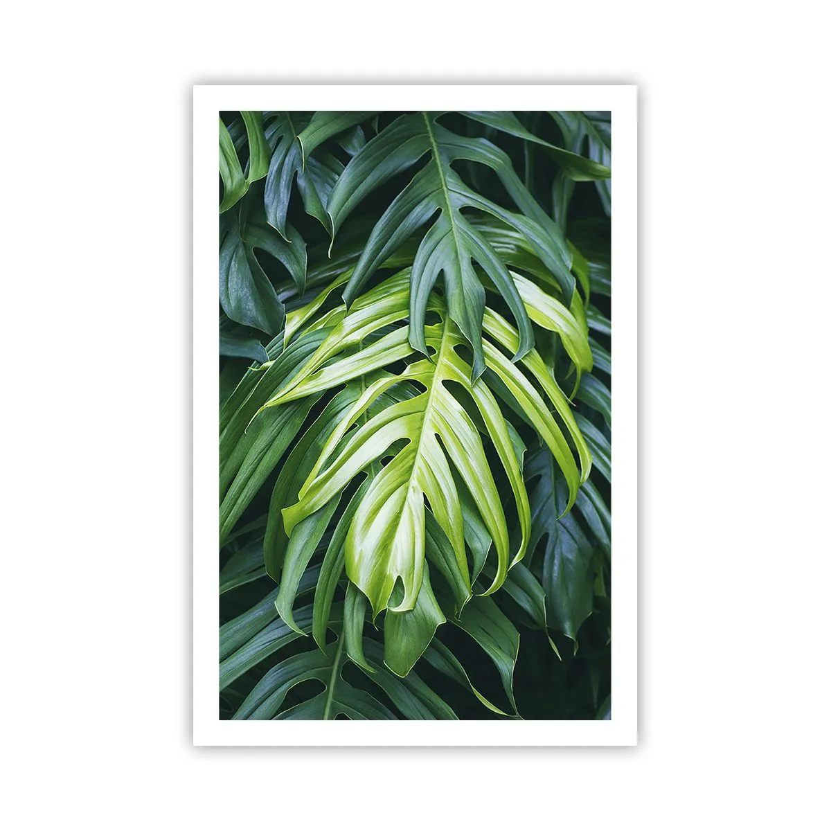 Poster - Tauchen Sie ein in die Frische - 61x91 cm
