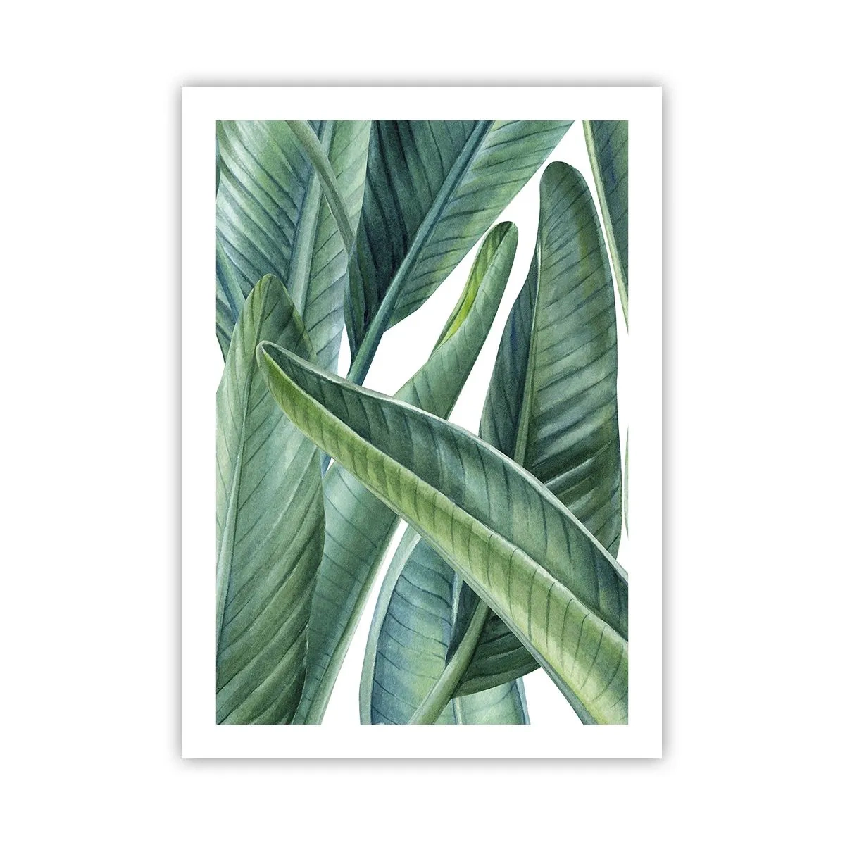 Poster - Grüne Bananenblätter im Aquarellstil - 50x70cm - An und für sich Grün - Moderne Wanddekoration für Wohnzimmer und Schlafzimmer ARTTOR