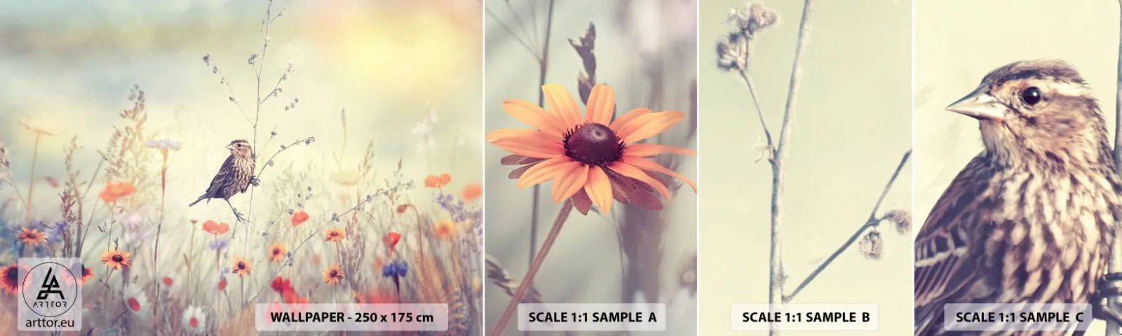 Fototapetenmuster Standard Eco - Vogelporträt mit einer Wiese im Hintergrund - Vogel, Wiese, Natur - 100x30 cm