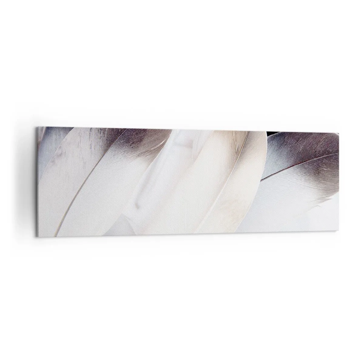 Bild auf Leinwand - Leinwandbild - Nahaufnahme zarter Federn in Weiß- und Grautönen - 160x50cm - Fast engelhaft - Moderne Wanddekoration für Wohnzimmer und Schlafzimmer ARTTOR