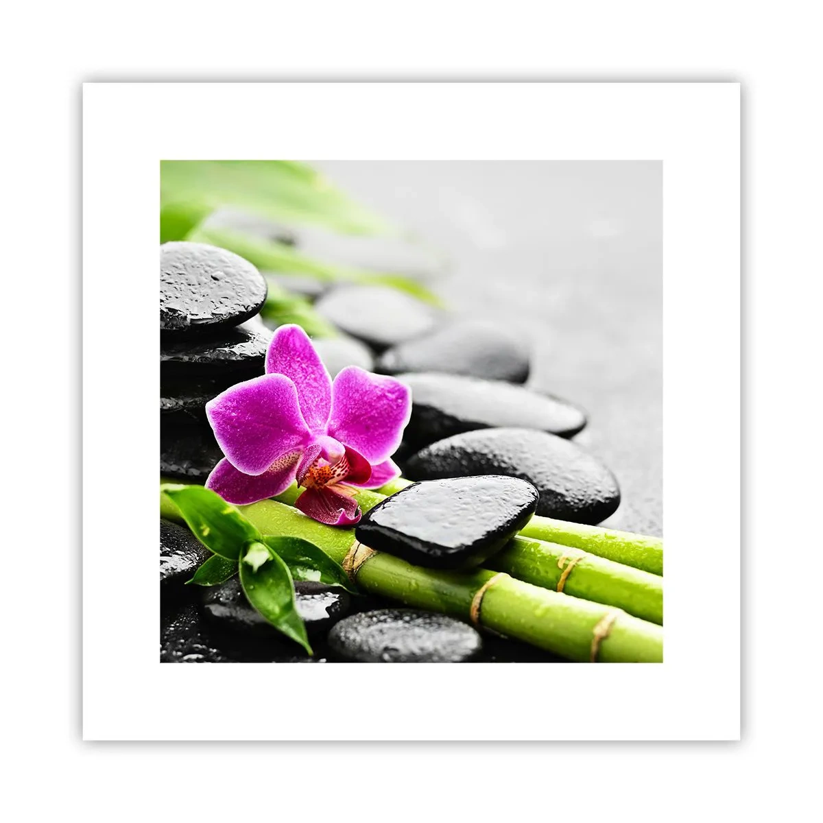 Poster - In ruhiger Balance - 30x30 cm