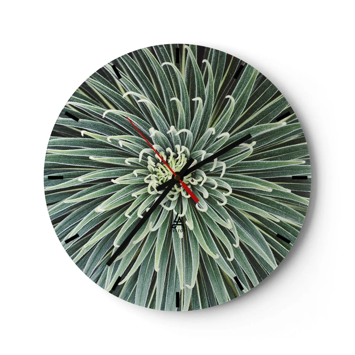 Wanduhr - Glasuhr - Eine Nahaufnahme einer symmetrischen Pflanze mit radial angeordneten Blättern. - 30x30cm - Ein Star ist geboren - Moderne Wanddekoration für Wohnzimmer, Küche und Schlafzimmer ARTTOR