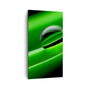 Bild auf Leinwand - Leinwandbild - Leben hautnah - 45x80 cm