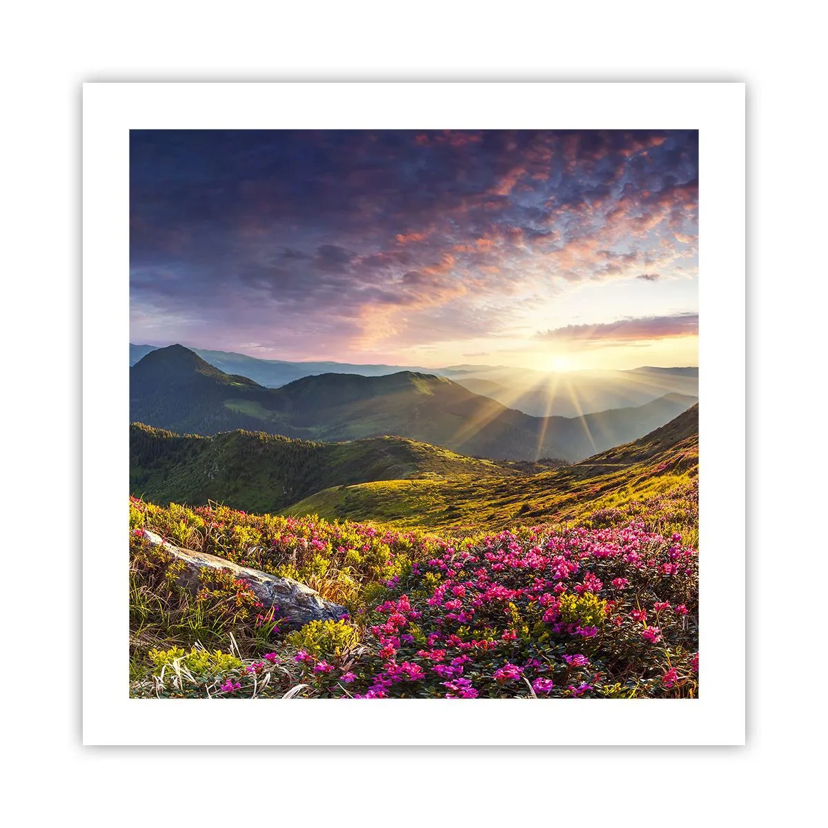 Poster - Frische am Bergmorgen - 50x50 cm