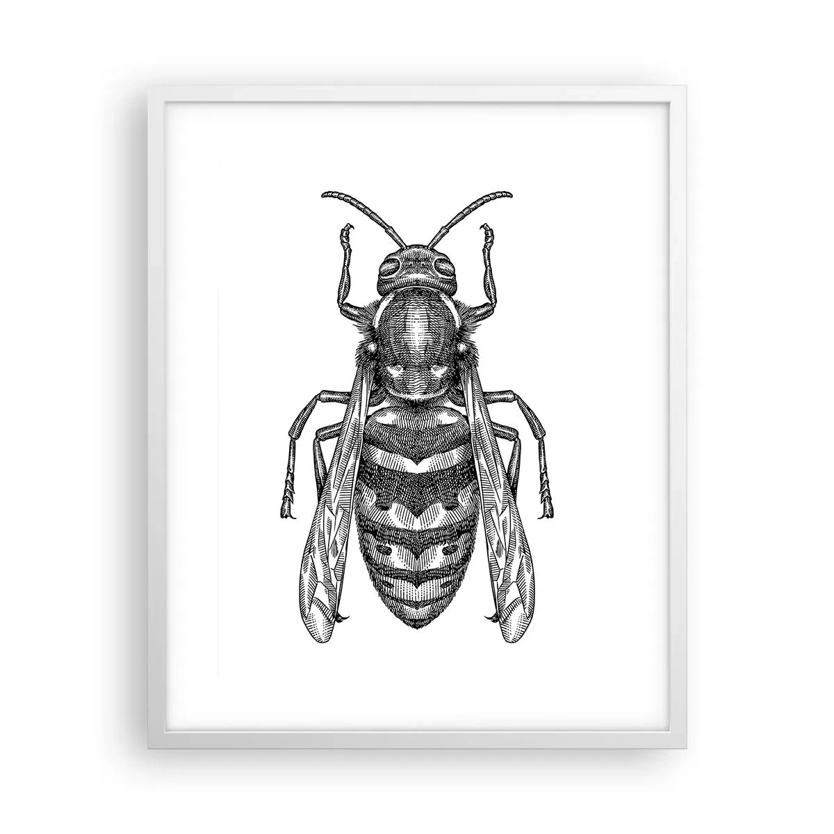 Poster in einem weißen Rahmen - Von einem Insektenplaneten - 40x50 cm