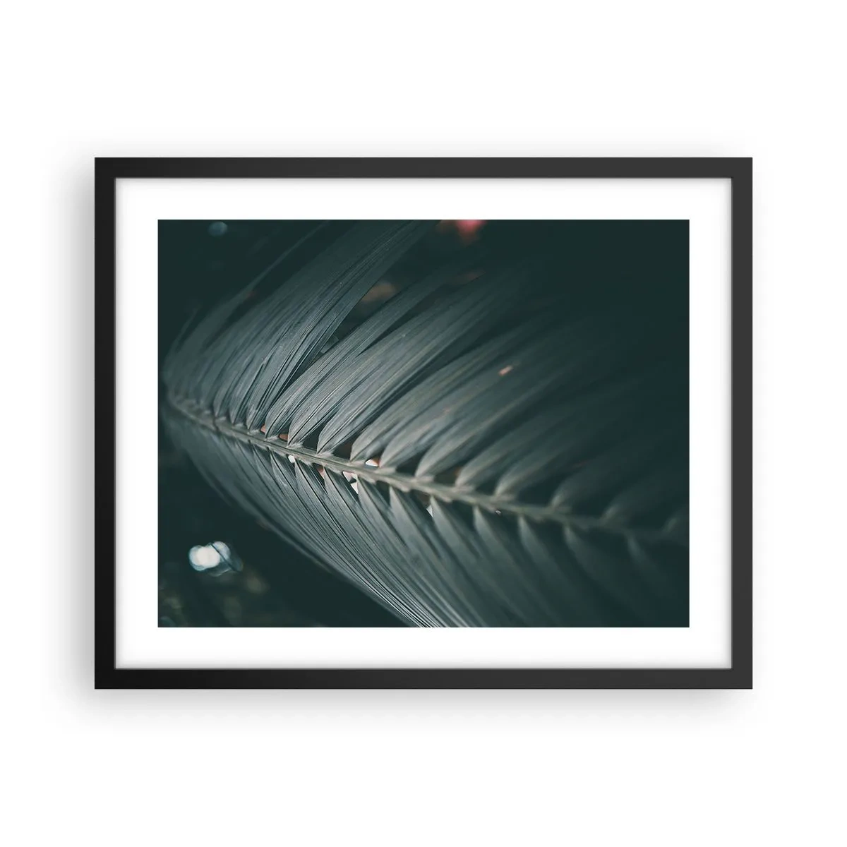 Poster in einem schwarzem Rahmen - Die Präzision der Natur - 50x40 cm