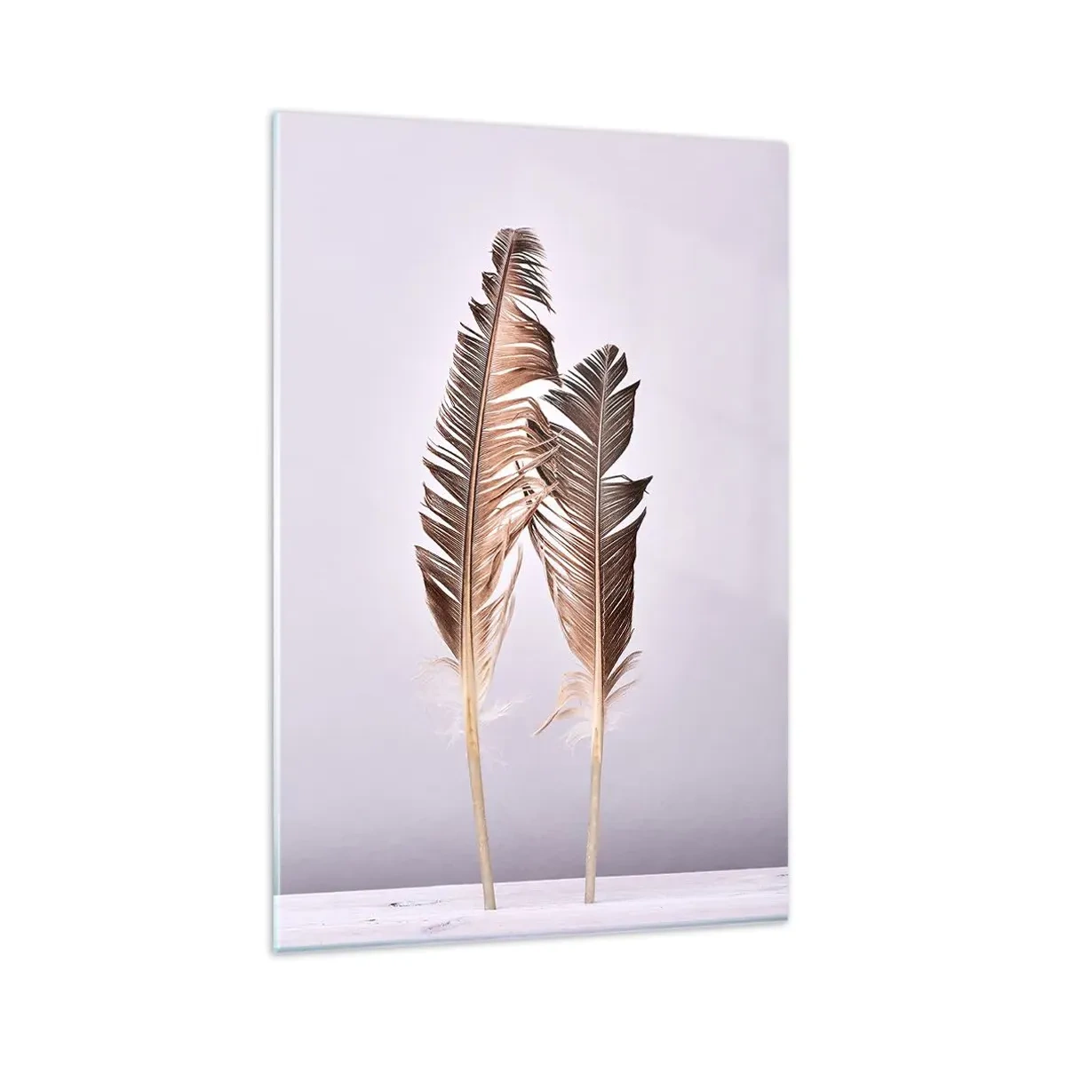 Glasbild - Bild auf glas - Zarte Federn auf hellem Untergrund im minimalistischen Stil - 80x120cm - Gegen das Nichts - Moderne Wanddekoration für Wohnzimmer und Schlafzimmer ARTTOR