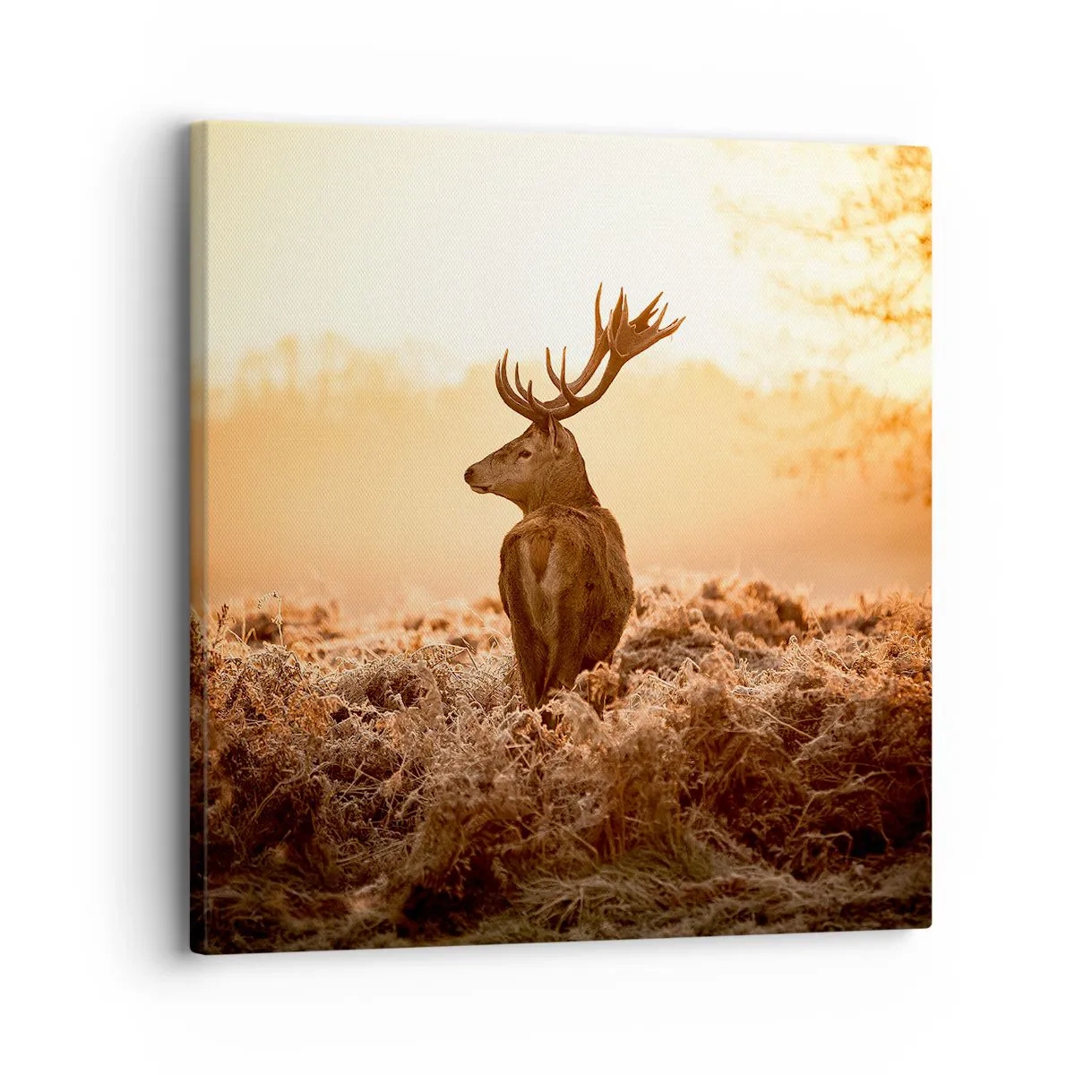 Bild auf Leinwand - Leinwandbild - Herr im eigenen Land - 30x30 cm