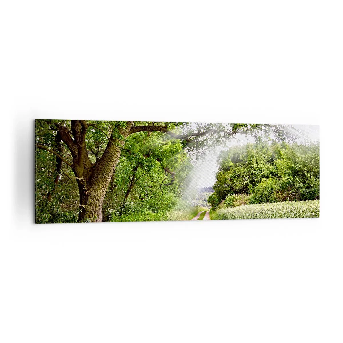 Bild auf Leinwand - Leinwandbild - Eine unbefestigte Straße zwischen grünen Bäumen und Sonnenlicht - 160x50cm - Et in Arcadia ego - Moderne Wanddekoration für Wohnzimmer und Schlafzimmer ARTTOR