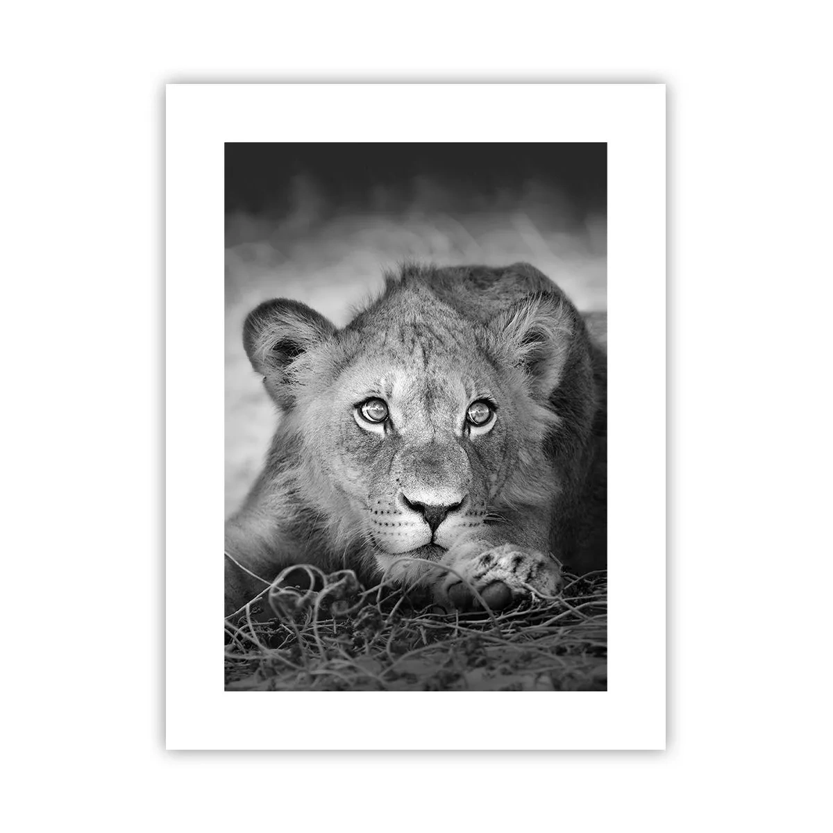 Poster - Königlicher Welpe - 30x40 cm