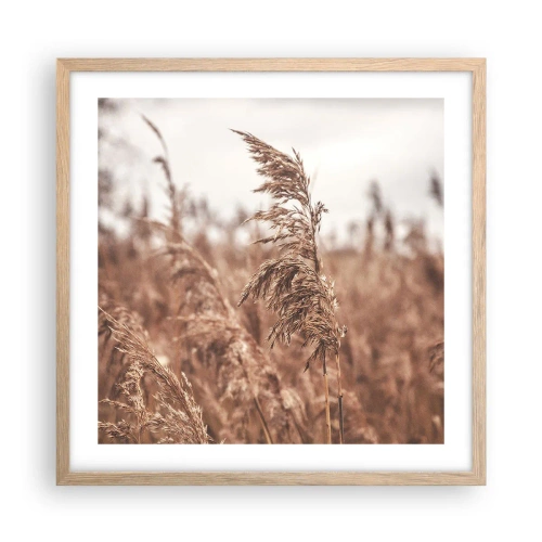 Poster in einem Rahmen aus heller Eiche - Auf den Feldern ist es schon Herbst - 50x50 cm