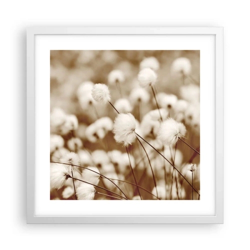 Poster in einem weißen Rahmen - Flauschiges Kornfeld - 40x40 cm