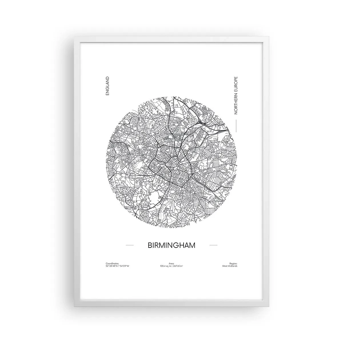 Poster in einem weißen Rahmen - Anatomie von Birmingham - 50x70 cm