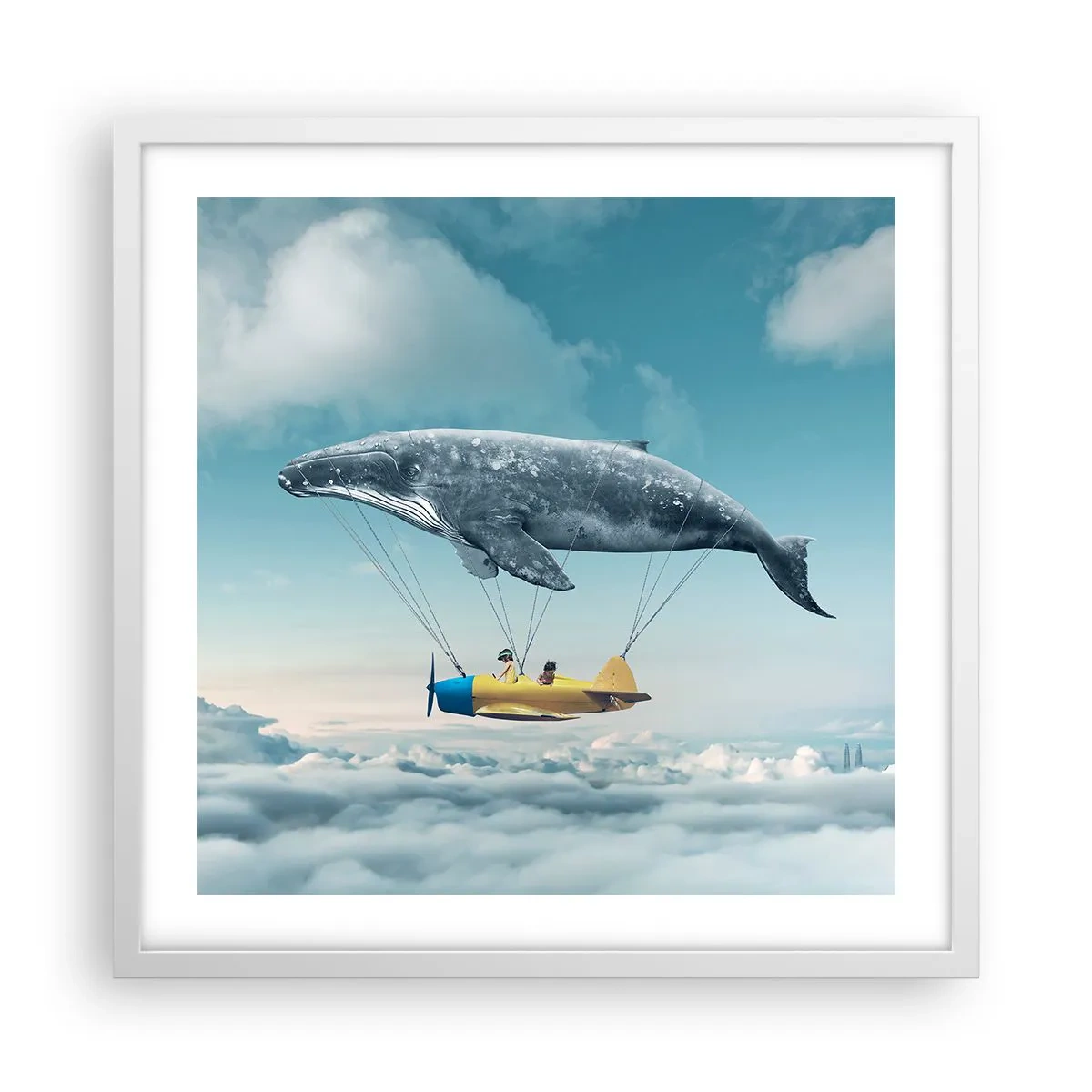 Poster in einem weißen Rahmen - Warum nicht? - 50x50 cm