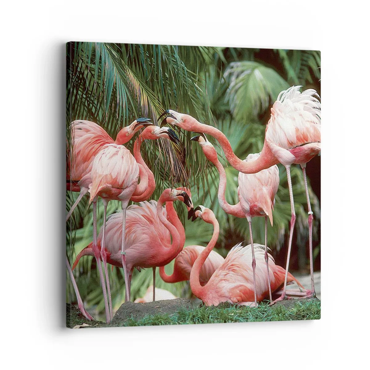 Bild auf Leinwand - Leinwandbild - Nachmittagsklatsch - 40x40 cm