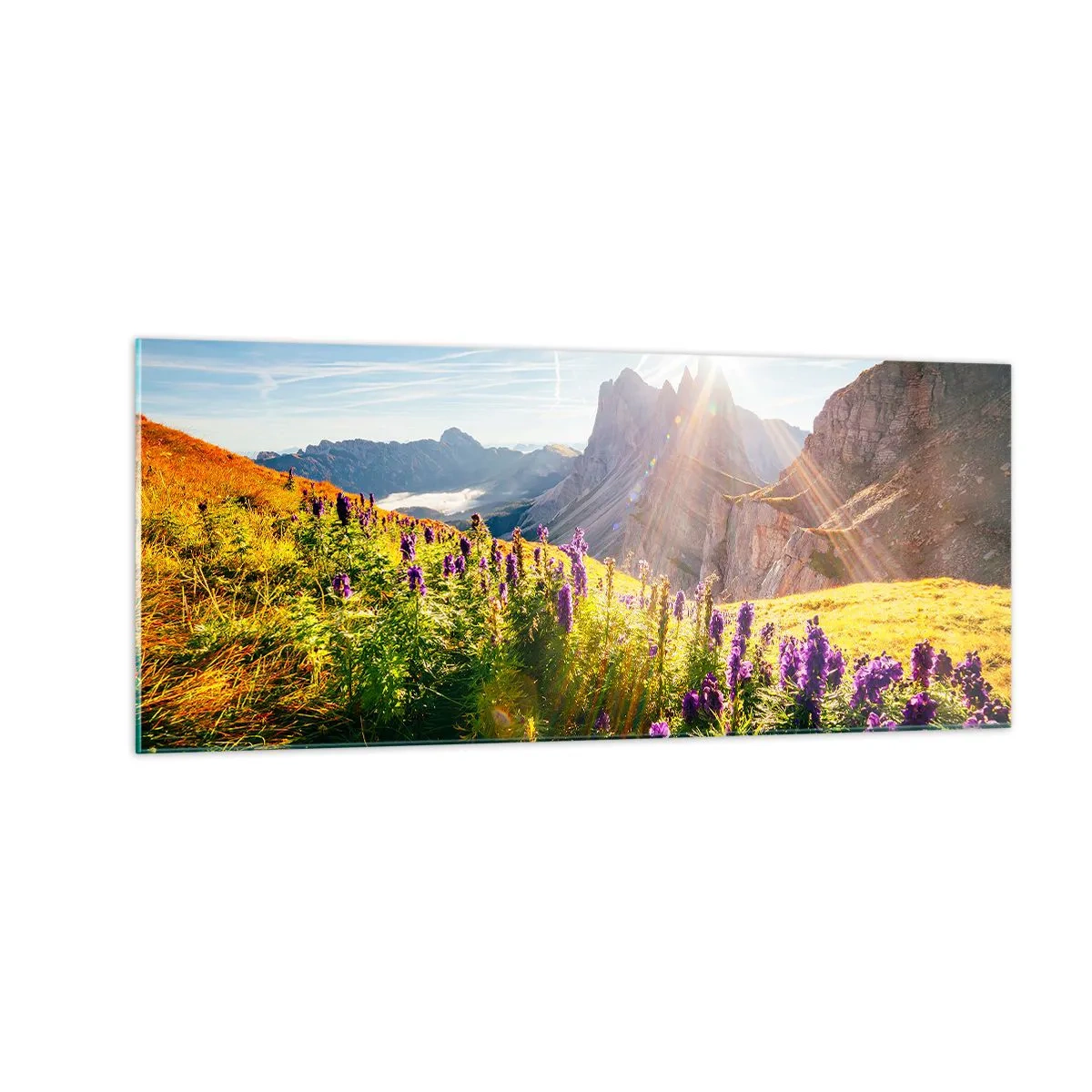 Glasbild - Bild auf glas - Das geheime Leben der Kräuter - 100x40 cm