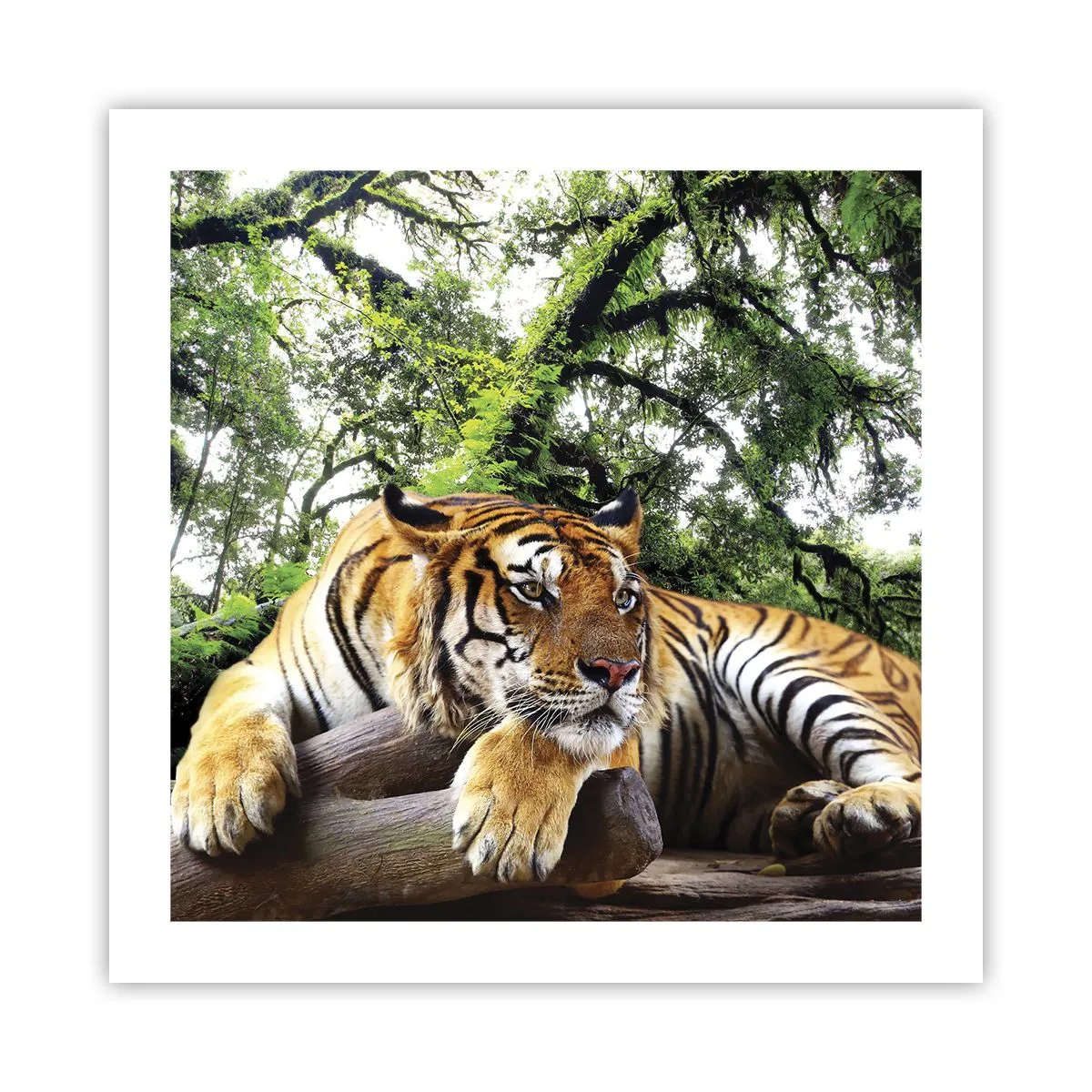 Poster - Hochachtungsvoll - 50x50 cm