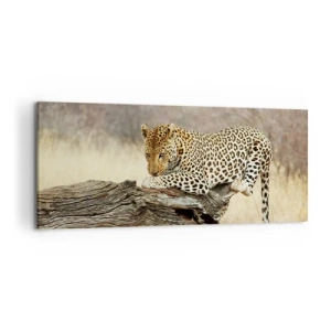 Bild auf Leinwand - Leinwandbild - Ein Leopard ruht auf einem Baumstamm in der Savanne - 120x50cm - Ich gehe meine eigenen Wege - Moderne Wanddekoration für Wohnzimmer und Schlafzimmer ARTTOR