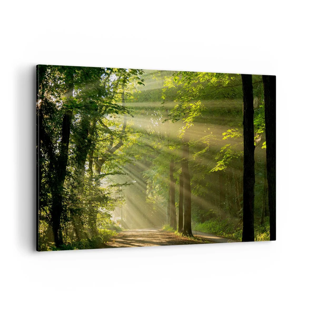 Bild auf Leinwand - Leinwandbild - Waldweg mit Sonnenstrahlen, die durch die Bäume scheinen - 120x80cm - Waldmoment - Moderne Wanddekoration für Wohnzimmer und Schlafzimmer ARTTOR