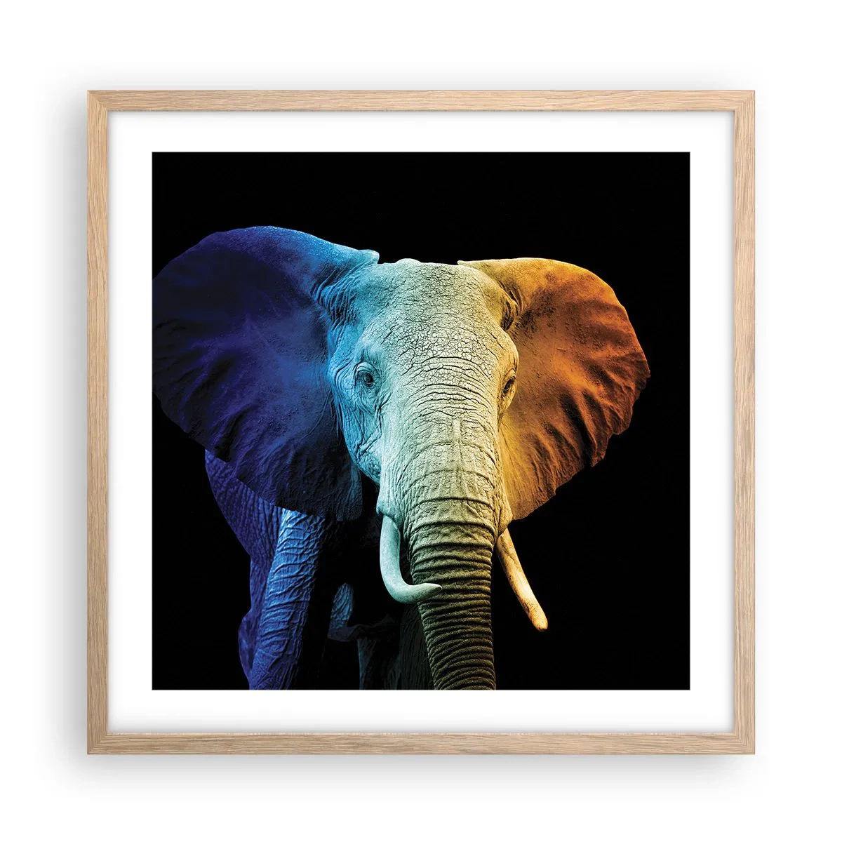 Poster in einem Rahmen aus heller Eiche - Exzentrisch, kein Verrückter - 50x50 cm