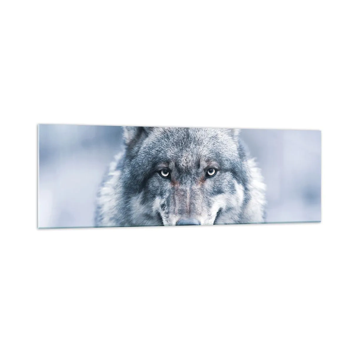 Glasbild - Bild auf glas - Ein Wolf mit intensivem Blick in einer Winterlandschaft - 160x50cm - Werden Sie die Herausforderung annehmen? - Moderne Wanddekoration für Wohnzimmer und Schlafzimmer ARTTOR
