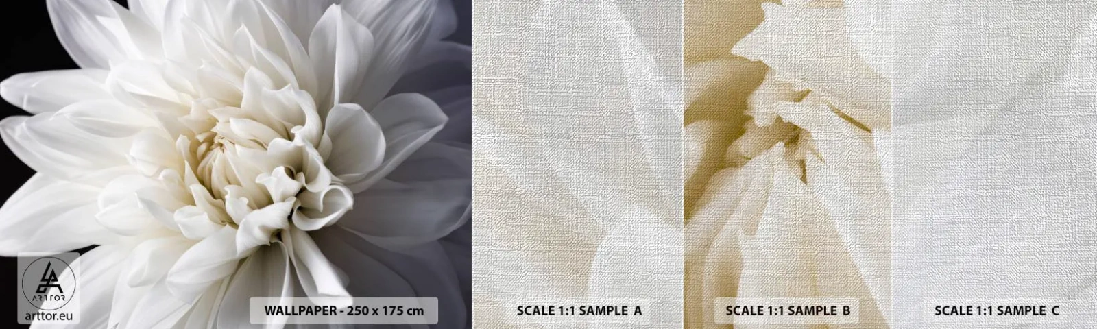 Fototapeten Muster Premium Canvas - Der Morgen der Braut - Blume, Dahlie, Natur - 100x30 cm