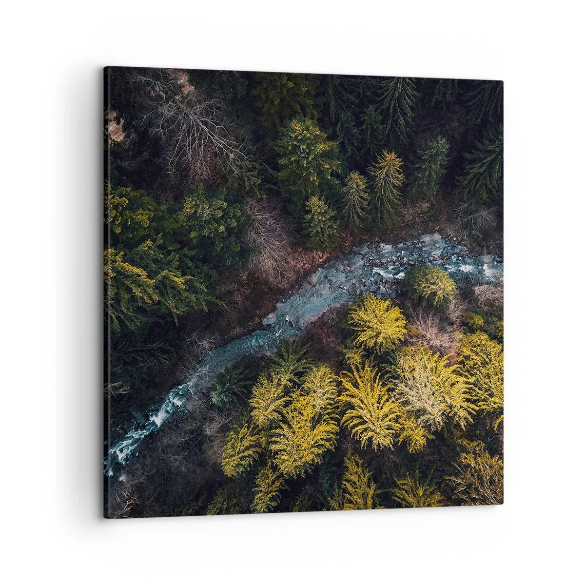 Bild auf Leinwand - Leinwandbild - Schnell und immer schneller - 50x50 cm