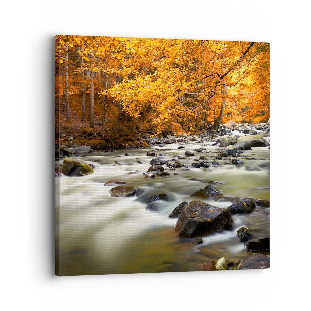 Bild auf Leinwand - Leinwandbild - Ein Bach in einem goldenen Wald - 30x30 cm