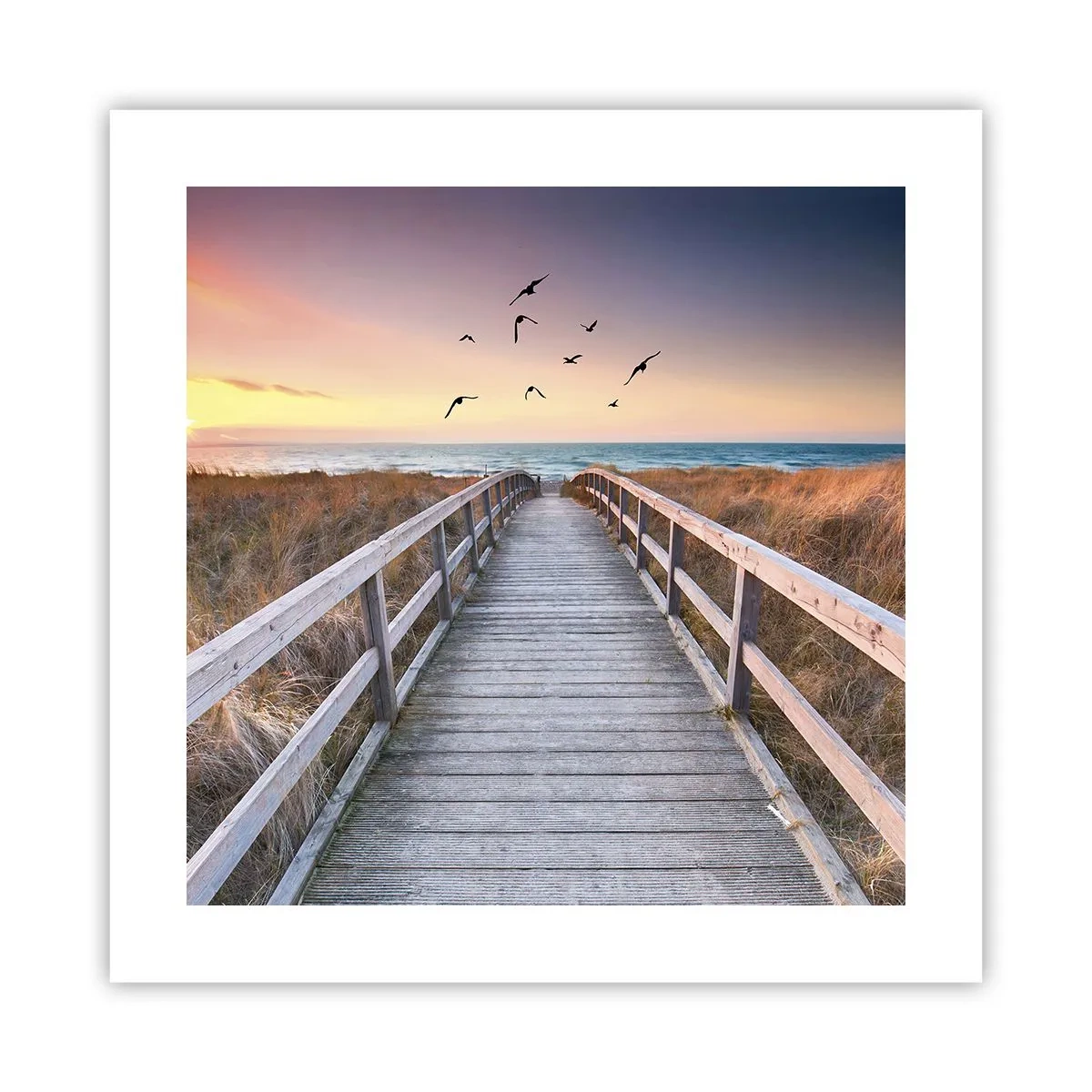 Poster - Der Raum für Auffliegen - 40x40 cm