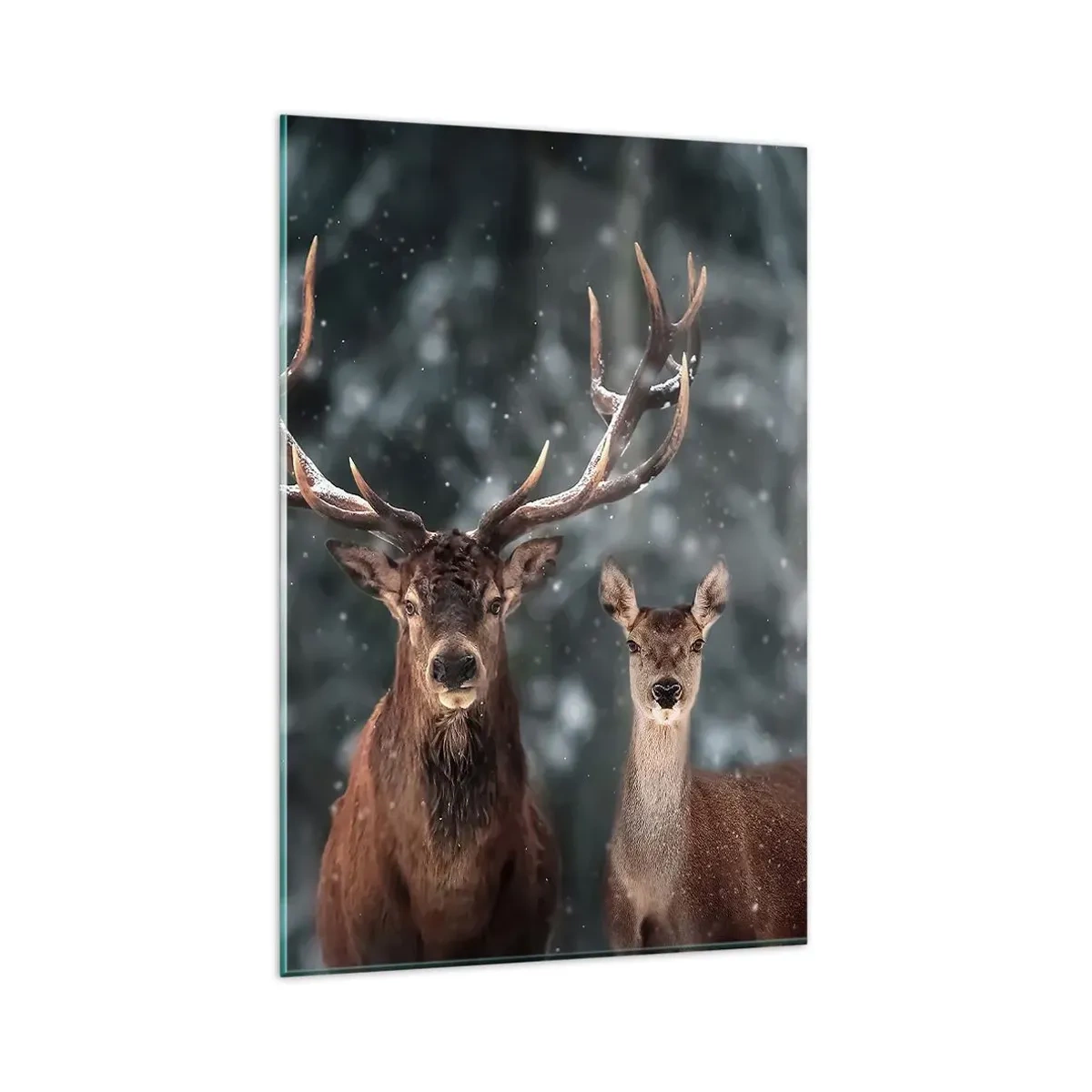 Glasbild - Bild auf glas - Hirsche im verschneiten Winterwald - 80x120cm - Herr des Waldes mit seiner Frau - Moderne Wanddekoration für Wohnzimmer und Schlafzimmer ARTTOR