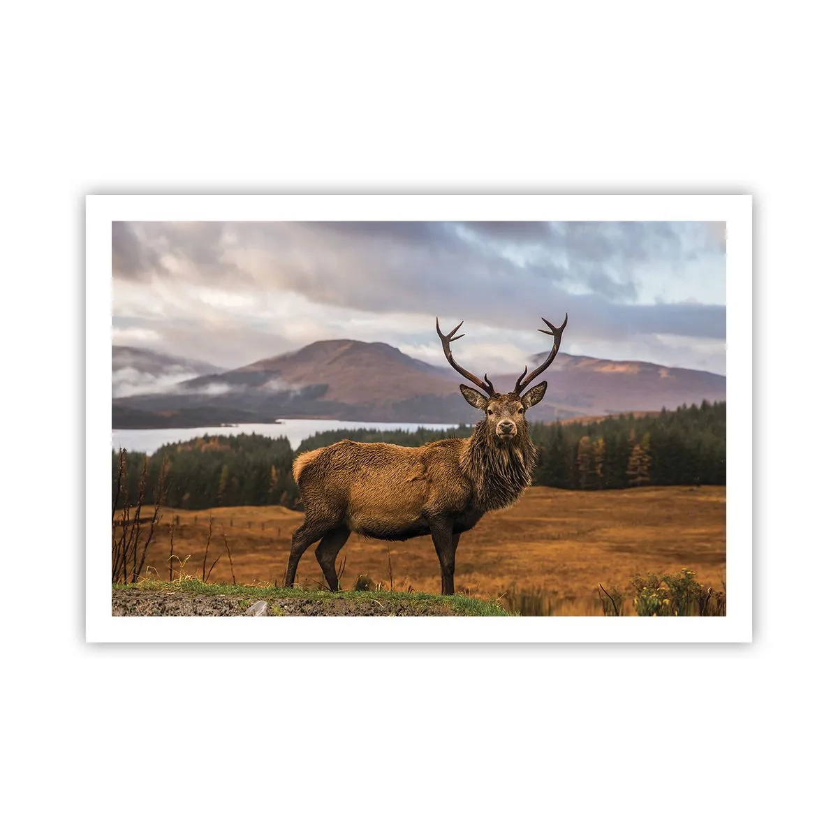 Poster - Die Majestät der Natur - 91x61 cm