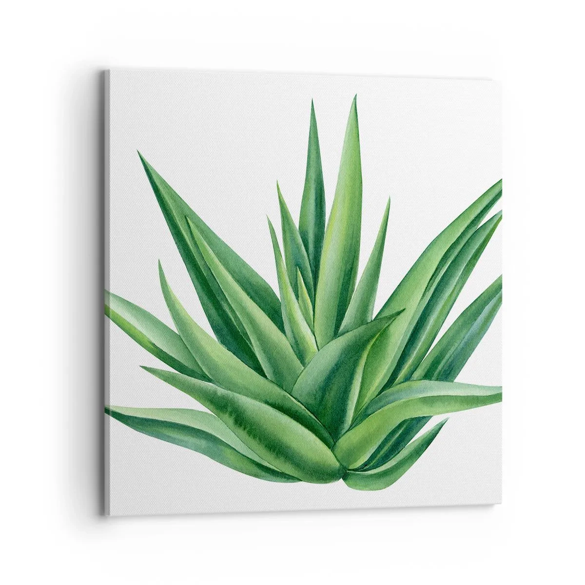 Bild auf Leinwand - Leinwandbild - Grün – Kraft – Leben - 70x70 cm