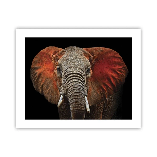 Poster - Ich bin wild und du? - 50x40 cm