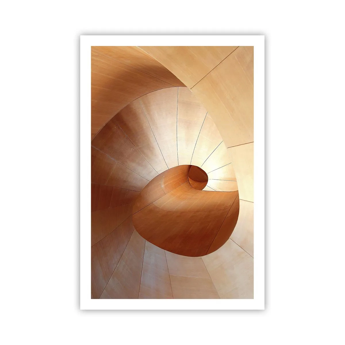 Poster - Architektonische Serpentine - 61x91 cm